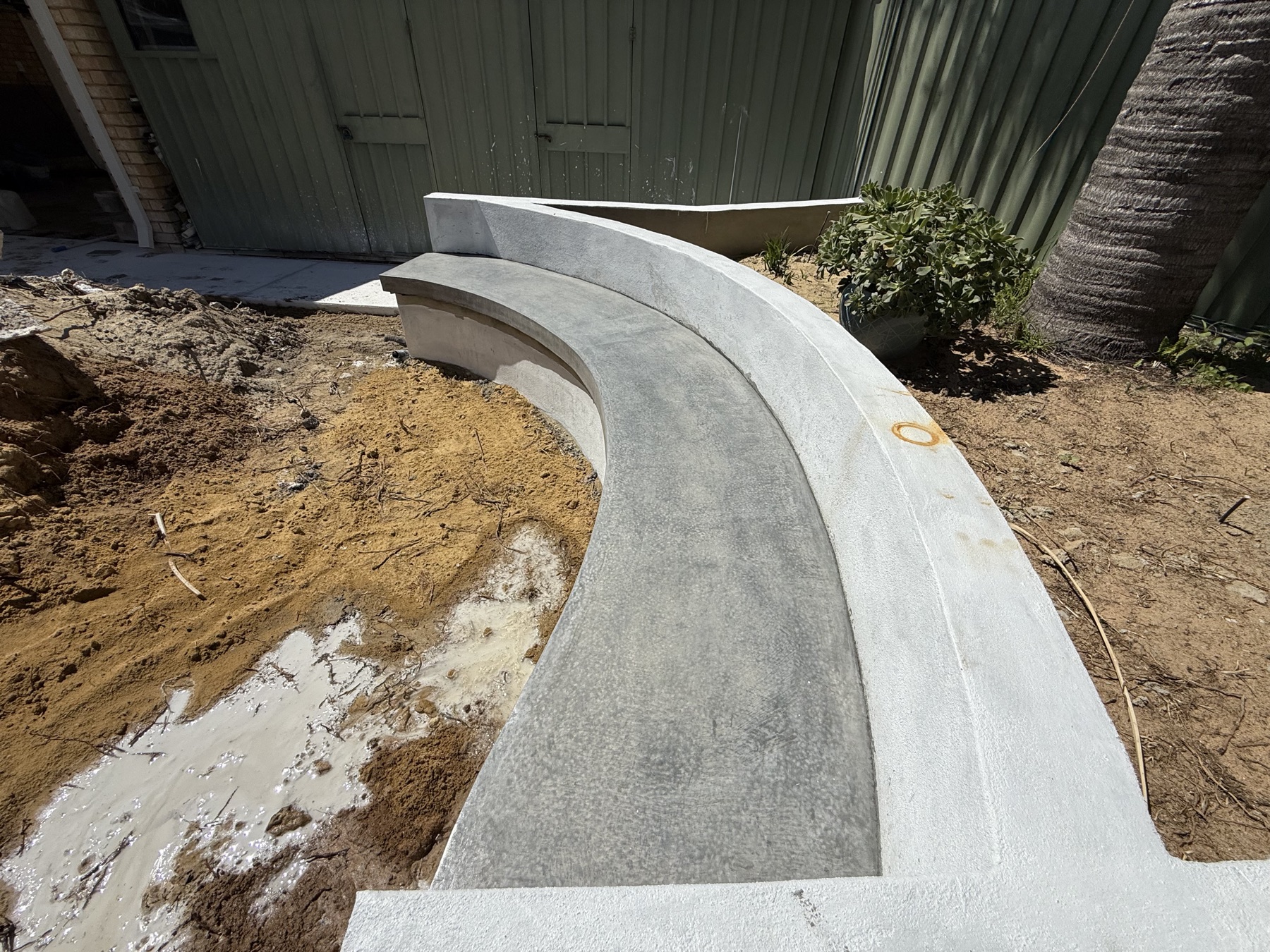 Curved concrete bench seat mid-landscaping, formed back rest and cantilevered front